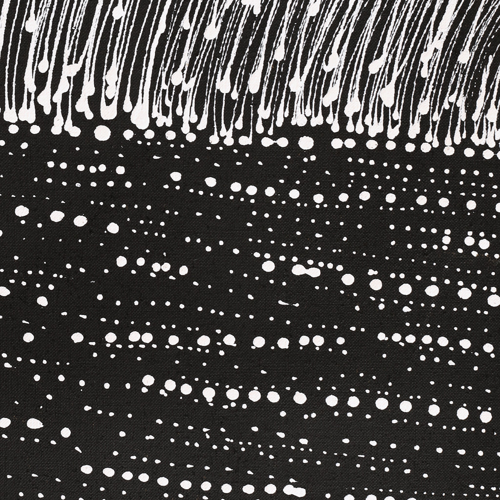 Aboriginal Artwork by Natasha Nakamarra Oldfield, Warna Jukurrpa (Snake Dreaming), 152x61cm