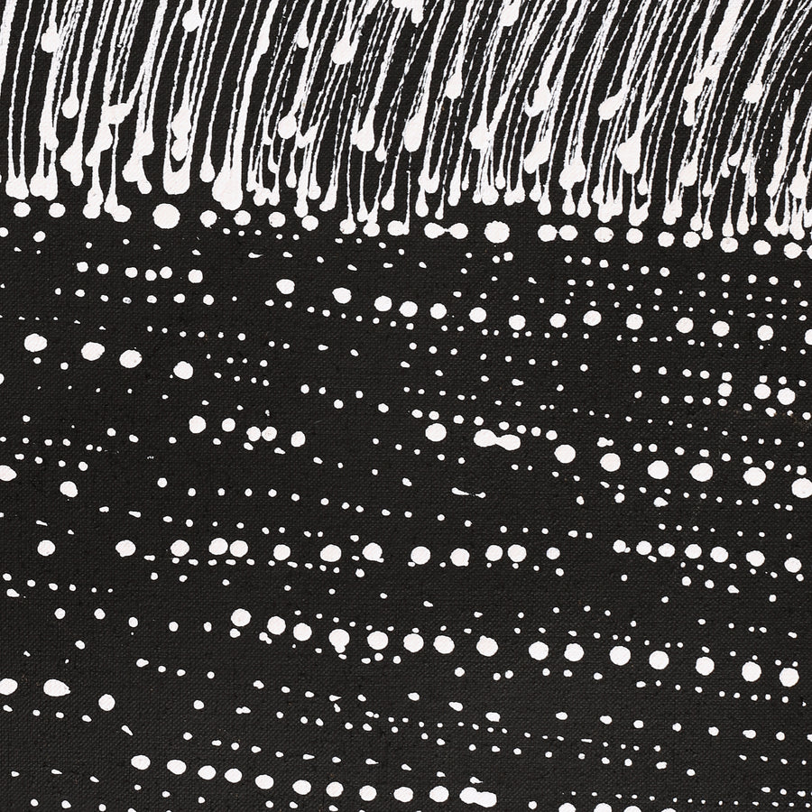 Aboriginal Artwork by Natasha Nakamarra Oldfield, Warna Jukurrpa (Snake Dreaming), 152x61cm