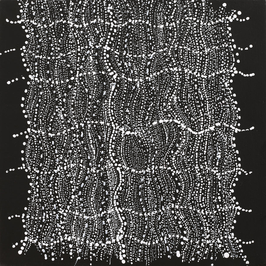 Aboriginal Artwork by Natasha Nakamarra Oldfield, Warna Jukurrpa (Snake Dreaming), 30x30cm