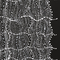 Aboriginal Artwork by Natasha Nakamarra Oldfield, Warna Jukurrpa (Snake Dreaming), 30x30cm