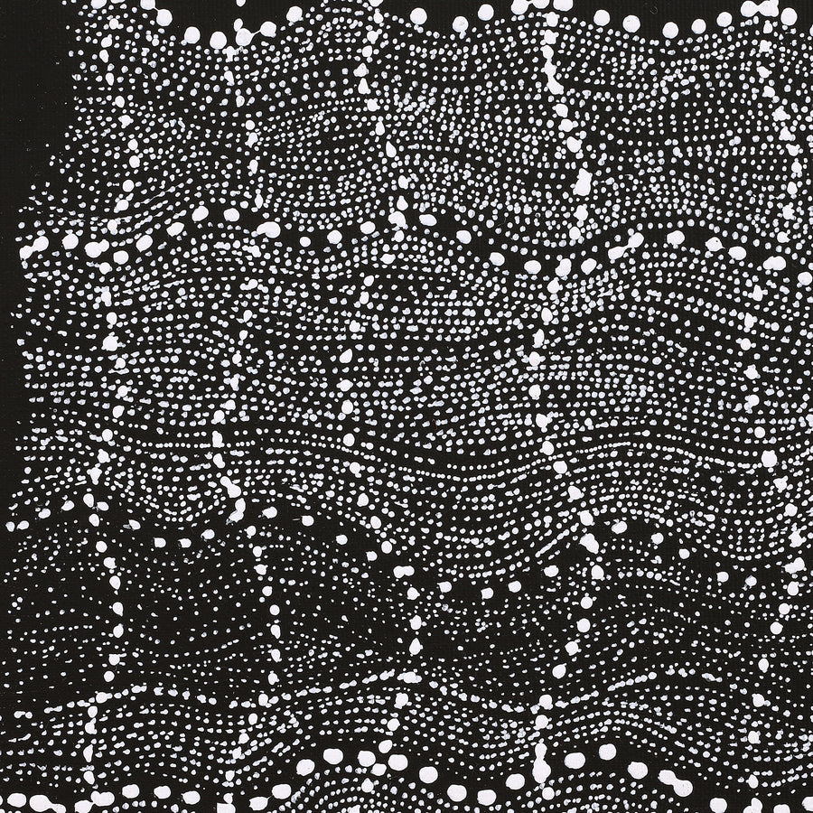 Aboriginal Artwork by Natasha Nakamarra Oldfield, Warna Jukurrpa (Snake Dreaming), 30x30cm