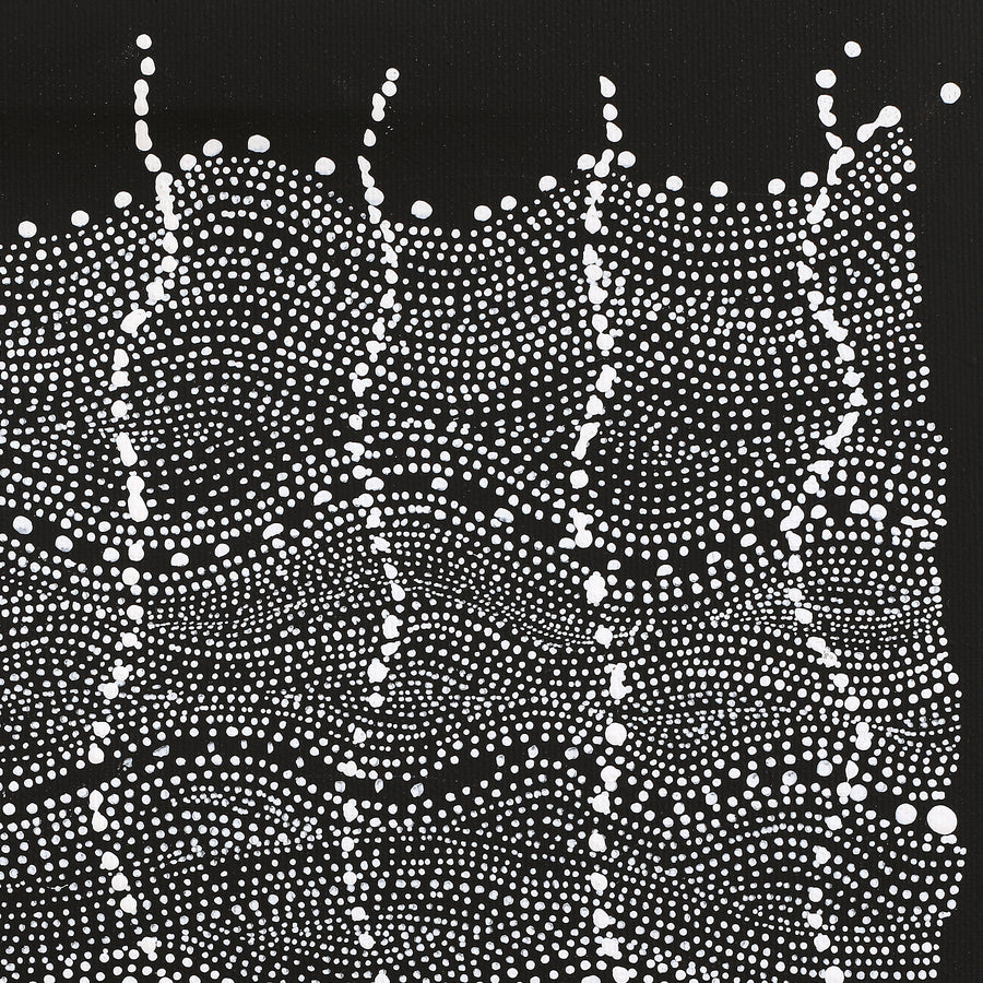 Aboriginal Artwork by Natasha Nakamarra Oldfield, Warna Jukurrpa (Snake Dreaming), 30x30cm