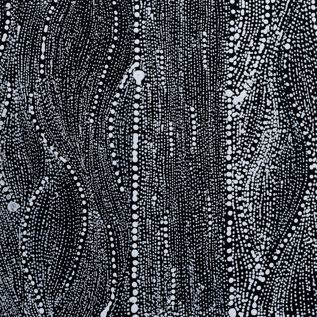 Aboriginal Artwork by Natasha Nakamarra Oldfield, Warna Jukurrpa (Snake Dreaming), 30x30cm