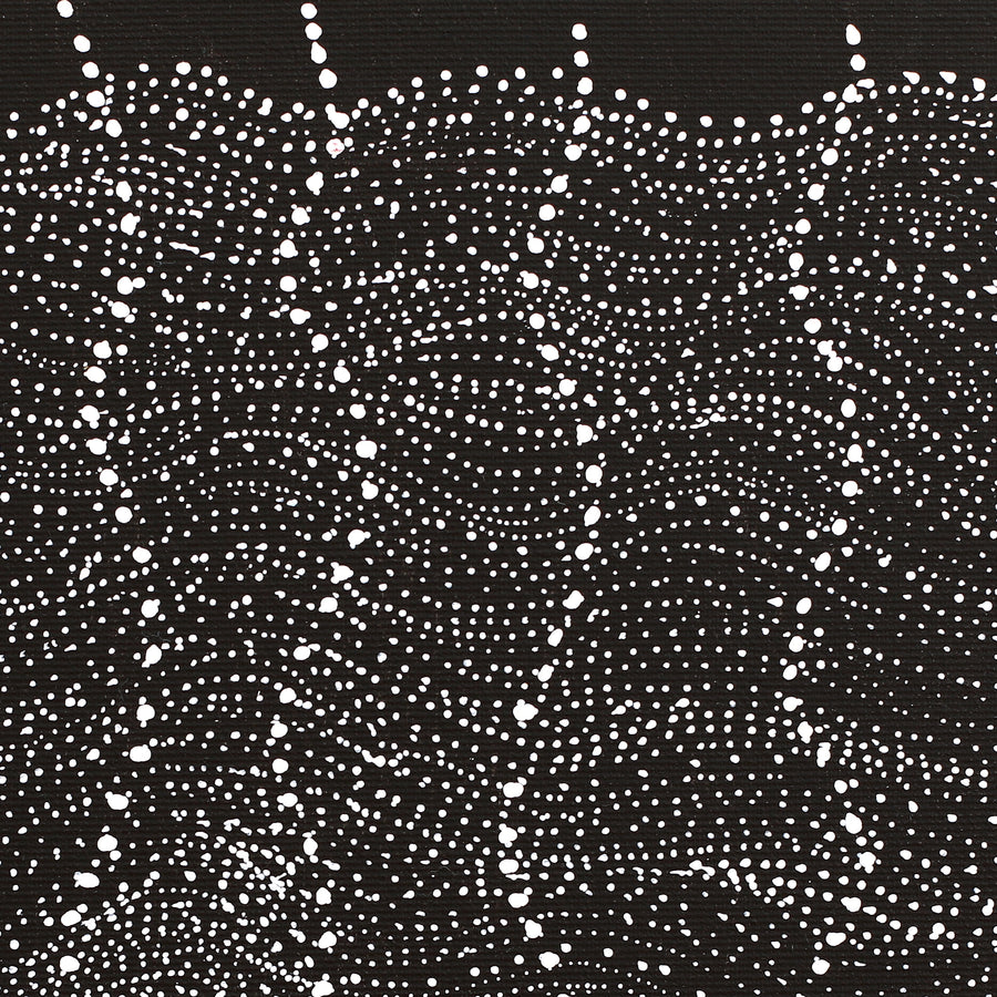 Aboriginal Artwork by Natasha Nakamarra Oldfield, Warna Jukurrpa (Snake Dreaming), 30x30cm