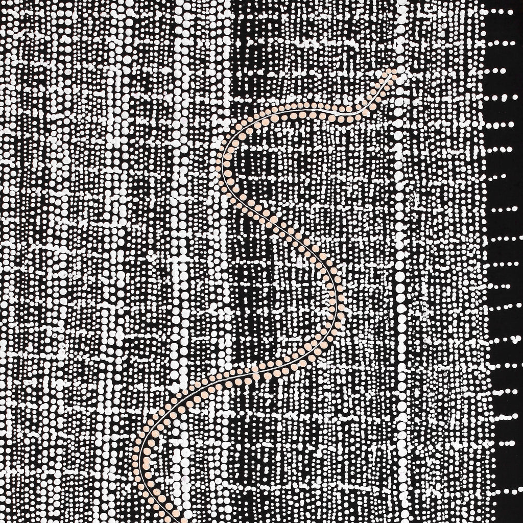 Aboriginal Artwork by Natasha Nakamarra Oldfield, Warna Jukurrpa (Snake Dreaming), 91x46cm