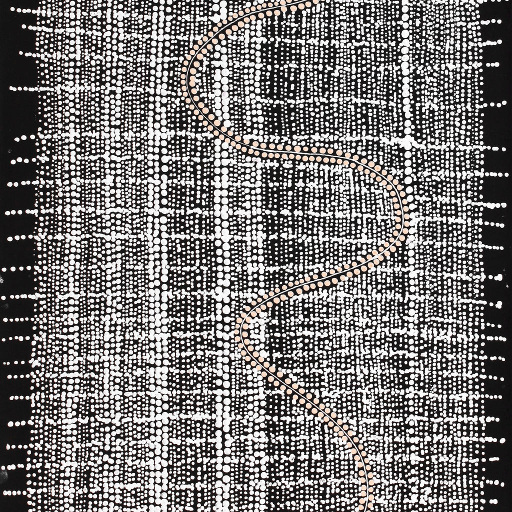 Aboriginal Artwork by Natasha Nakamarra Oldfield, Warna Jukurrpa (Snake Dreaming), 91x46cm