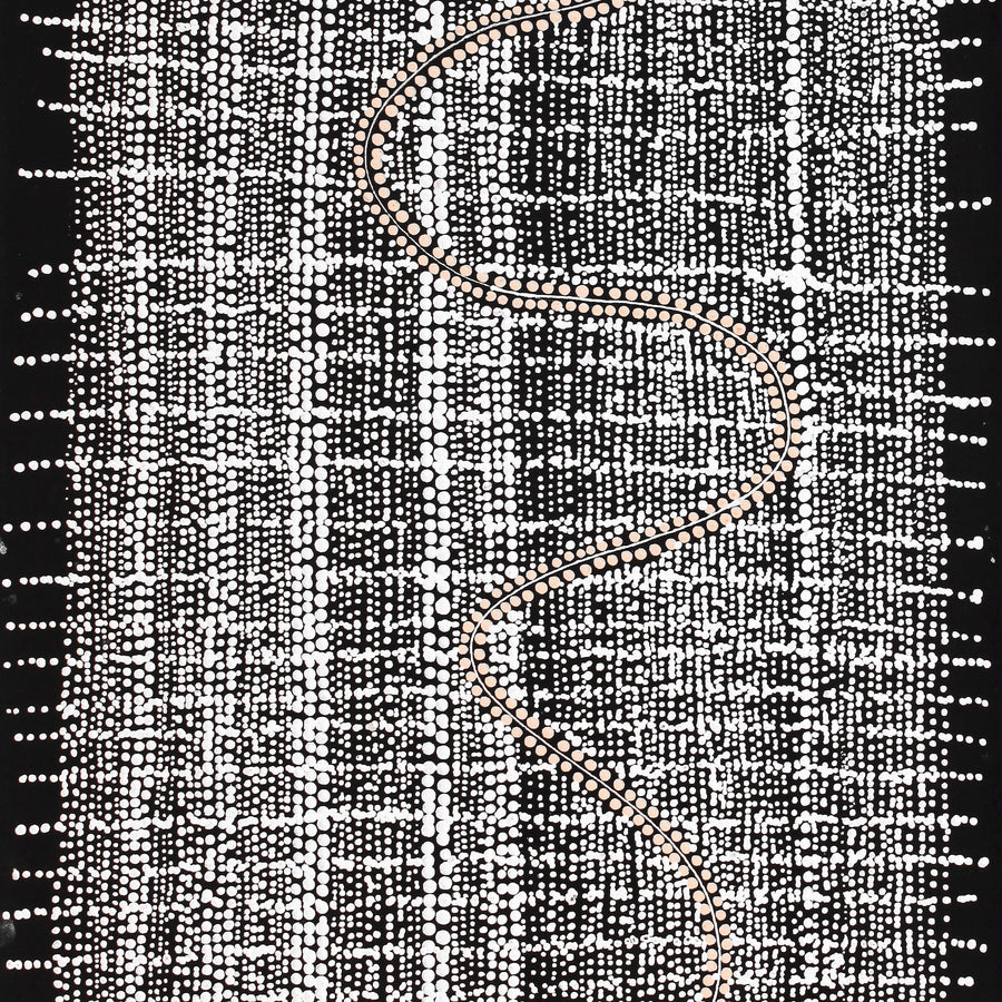 Aboriginal Artwork by Natasha Nakamarra Oldfield, Warna Jukurrpa (Snake Dreaming), 91x46cm