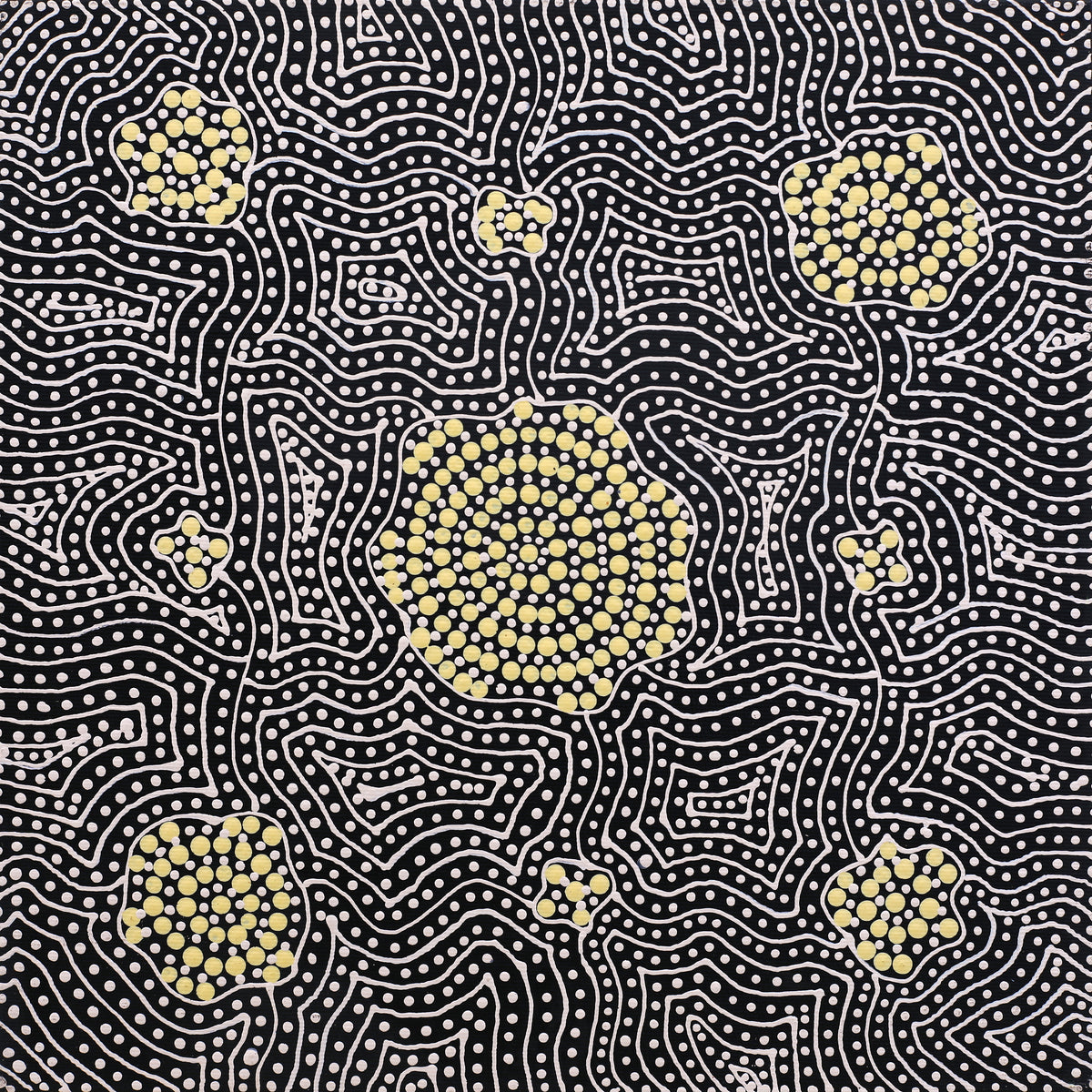 Aboriginal Art by Nathania Nangala Granites, Warlukurlangu Jukurrpa (Fire country Dreaming), 30x30cm - ART ARK®