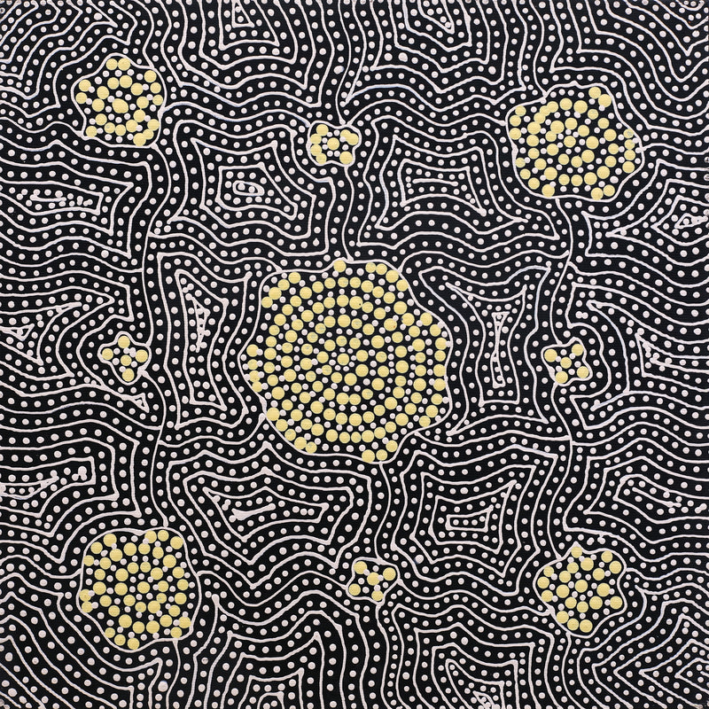 Aboriginal Artwork by Nathania Nangala Granites, Warlukurlangu Jukurrpa (Fire country Dreaming), 30x30cm