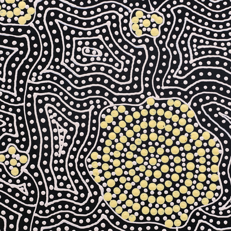 Aboriginal Artwork by Nathania Nangala Granites, Warlukurlangu Jukurrpa (Fire country Dreaming), 30x30cm
