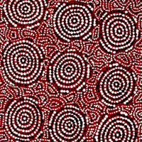 Aboriginal Artwork by Nathania Nangala Granites, Warlukurlangu Jukurrpa (Fire country Dreaming), 122x30cm