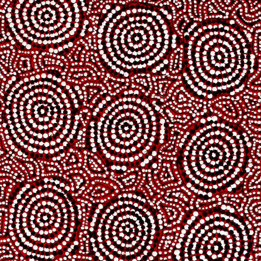 Aboriginal Artwork by Nathania Nangala Granites, Warlukurlangu Jukurrpa (Fire country Dreaming), 122x30cm