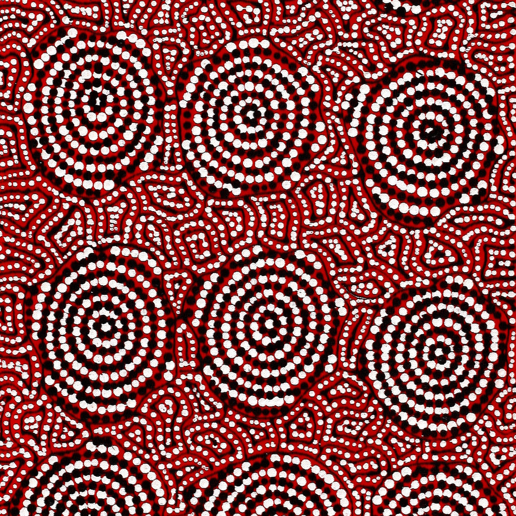 Aboriginal Artwork by Nathania Nangala Granites, Warlukurlangu Jukurrpa (Fire country Dreaming), 122x30cm