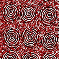 Aboriginal Artwork by Nathania Nangala Granites, Warlukurlangu Jukurrpa (Fire country Dreaming), 122x30cm