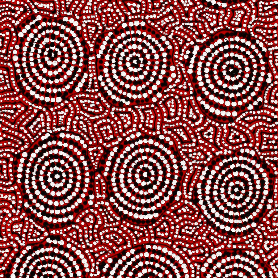 Aboriginal Artwork by Nathania Nangala Granites, Warlukurlangu Jukurrpa (Fire country Dreaming), 122x30cm