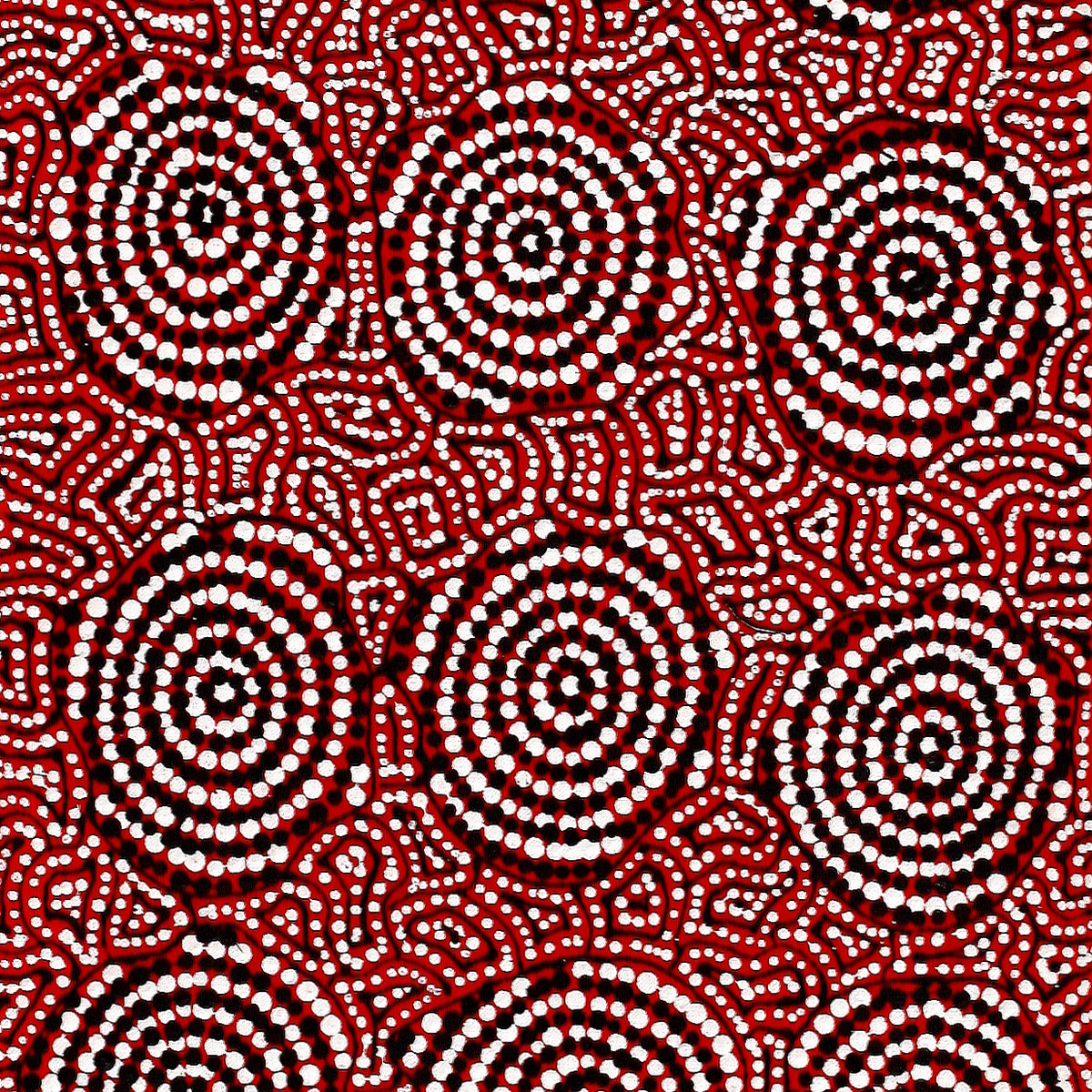 Aboriginal Art by Nathania Nangala Granites, Warlukurlangu Jukurrpa (Fire country Dreaming), 122x30cm - ART ARK®