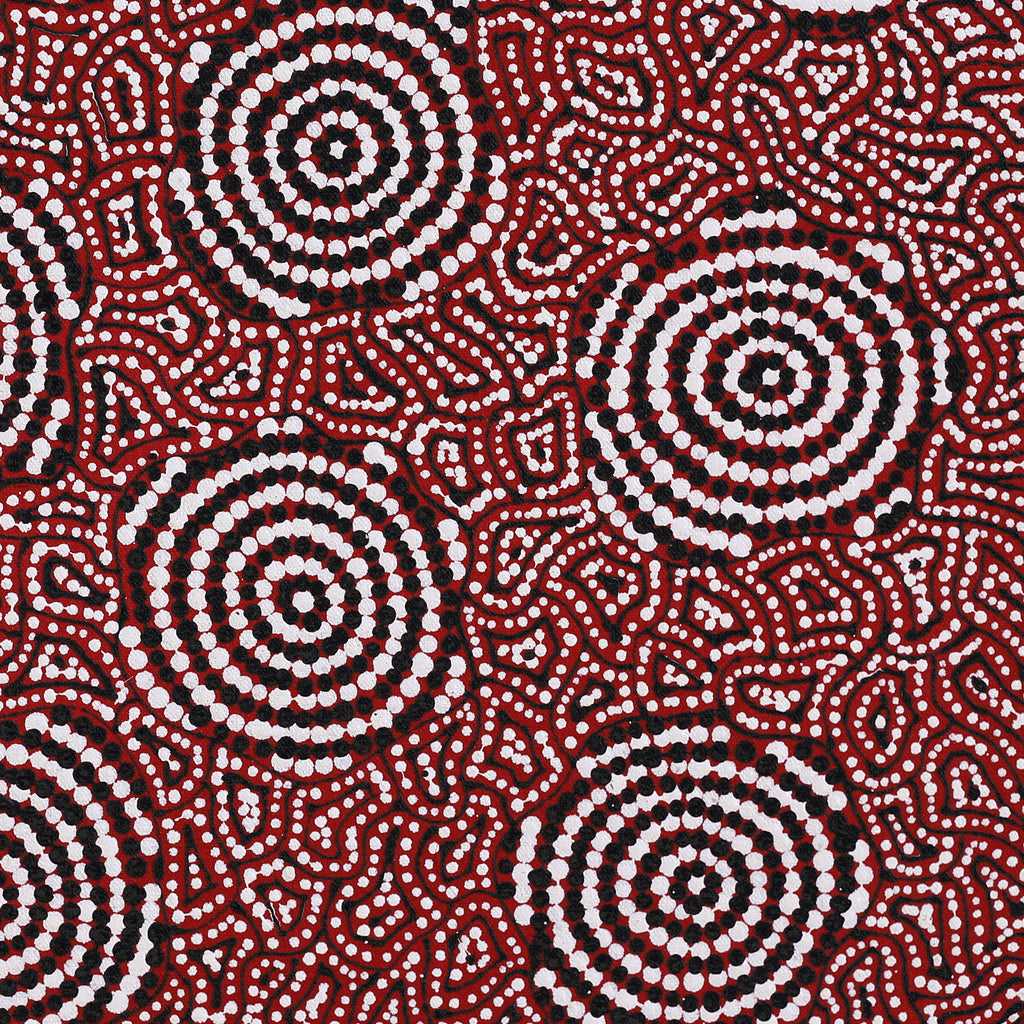 Aboriginal Artwork by Nathania Nangala Granites, Warlukurlangu Jukurrpa (Fire country Dreaming), 46x46cm
