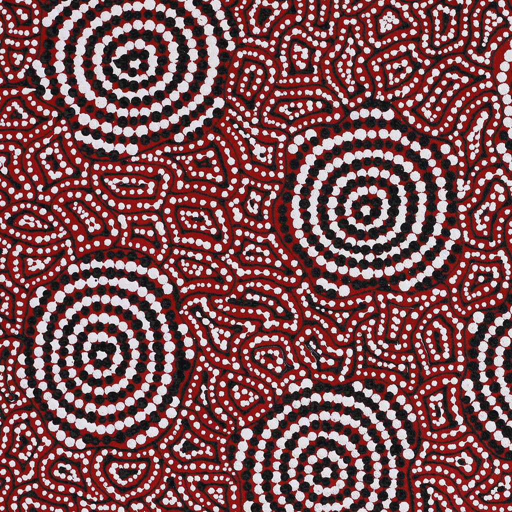 Aboriginal Artwork by Nathania Nangala Granites, Warlukurlangu Jukurrpa (Fire country Dreaming), 46x46cm
