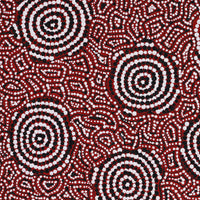 Aboriginal Artwork by Nathania Nangala Granites, Warlukurlangu Jukurrpa (Fire country Dreaming), 46x46cm