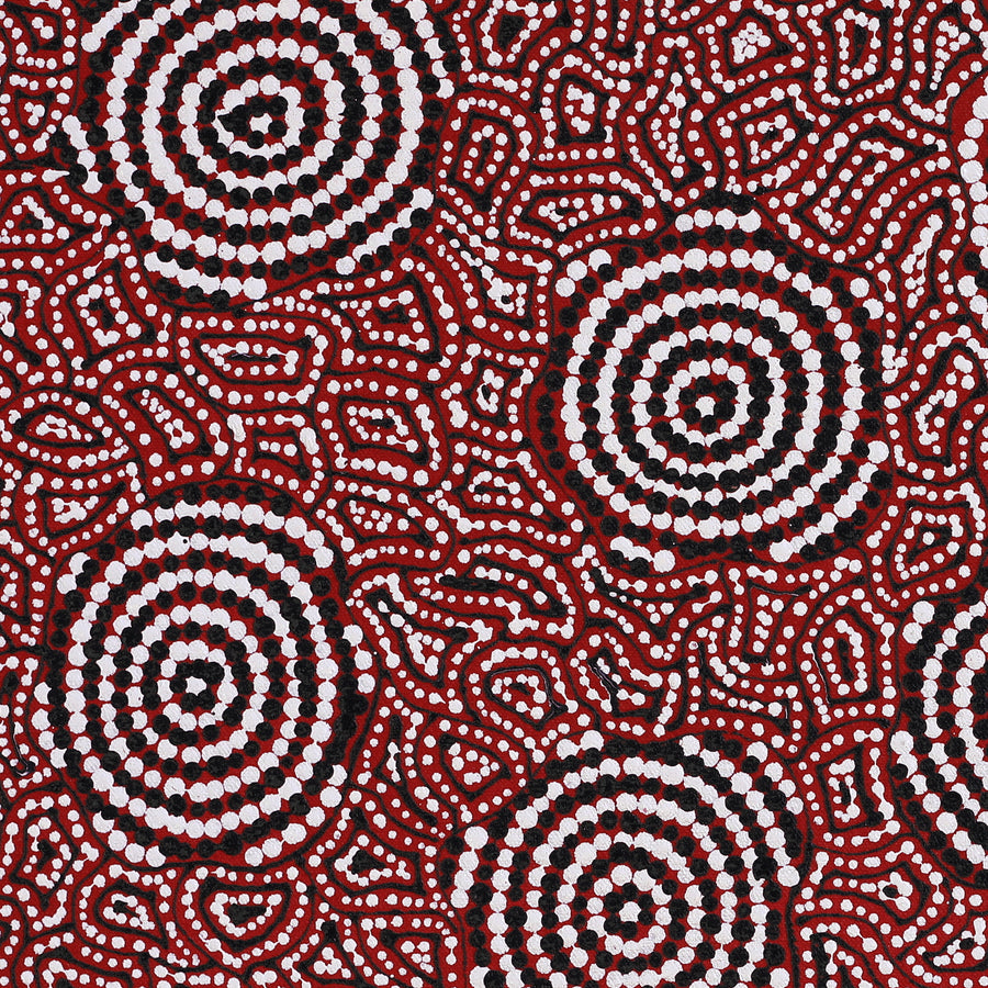 Aboriginal Artwork by Nathania Nangala Granites, Warlukurlangu Jukurrpa (Fire country Dreaming), 46x46cm