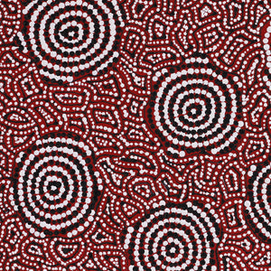 Aboriginal Artwork by Nathania Nangala Granites, Warlukurlangu Jukurrpa (Fire country Dreaming), 46x46cm - ART ARK®