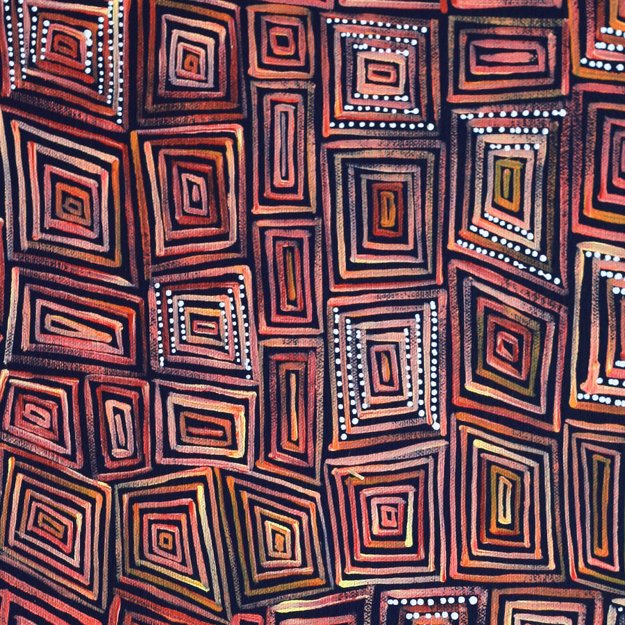 Aboriginal Artwork by Nathania Nangala Granites, Ngapa Jukurrpa (Water Dreaming) - Puyurru, 61x30cm