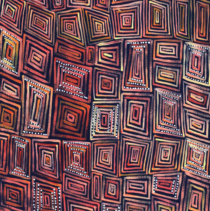 Aboriginal Artwork by Nathania Nangala Granites, Ngapa Jukurrpa (Water Dreaming) - Puyurru, 61x30cm