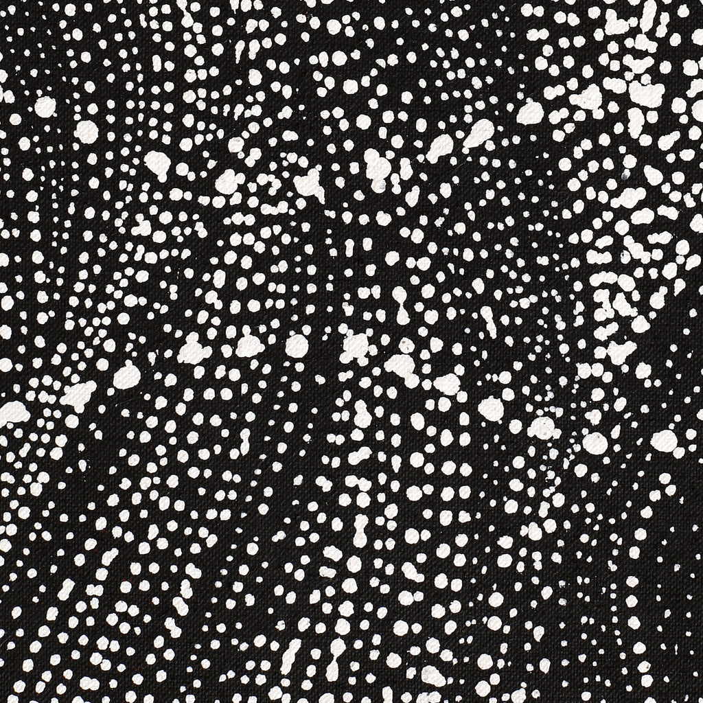 Aboriginal Artwork by Natasha Nakamarra Oldfield, Warna Jukurrpa (Snake Dreaming), 122x61cm