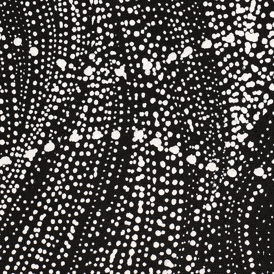Aboriginal Artwork by Natasha Nakamarra Oldfield, Warna Jukurrpa (Snake Dreaming), 122x61cm