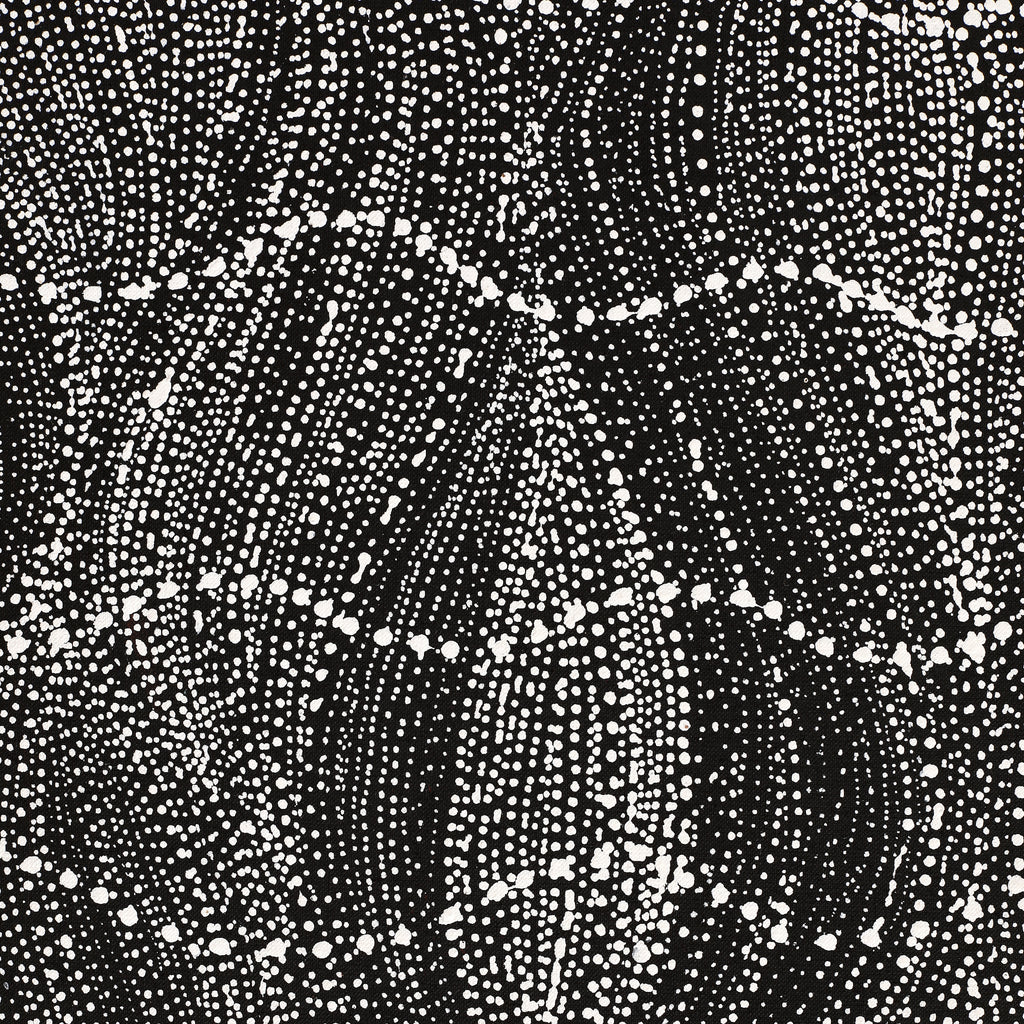 Aboriginal Artwork by Natasha Nakamarra Oldfield, Warna Jukurrpa (Snake Dreaming), 122x61cm