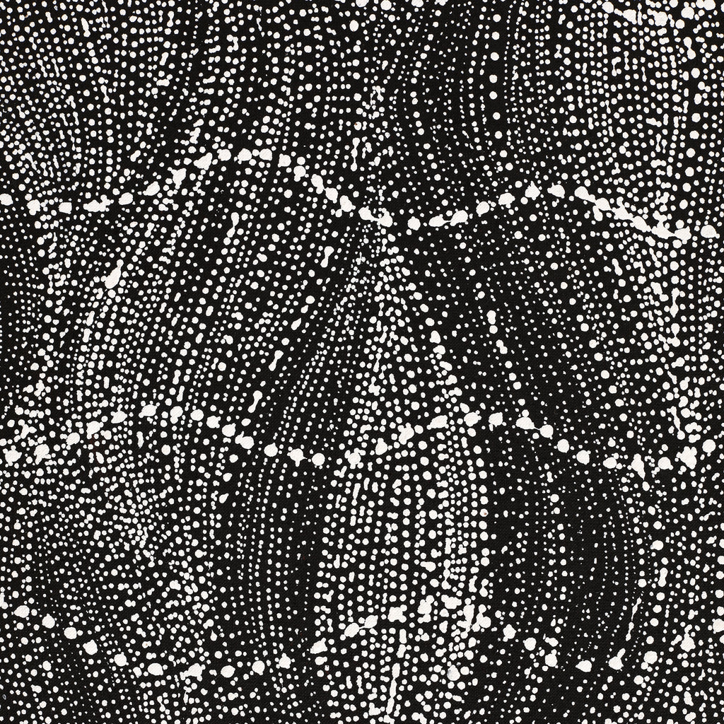 Aboriginal Artwork by Natasha Nakamarra Oldfield, Warna Jukurrpa (Snake Dreaming), 122x61cm - ART ARK®