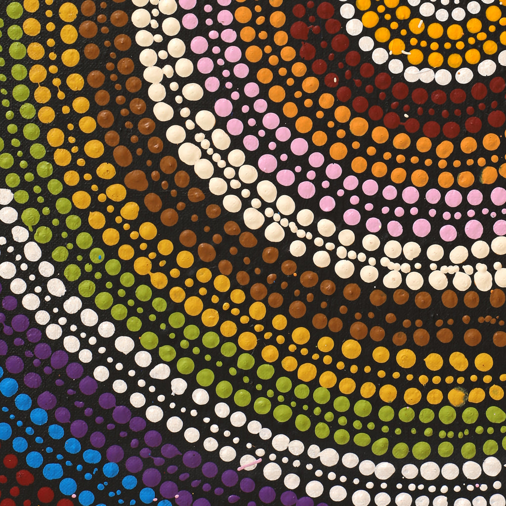 Aboriginal Artwork by Nicole Napaljarri Stevens, Ngapa Jukurrpa (Water Dreaming) - Mikanji, 76x61cm
