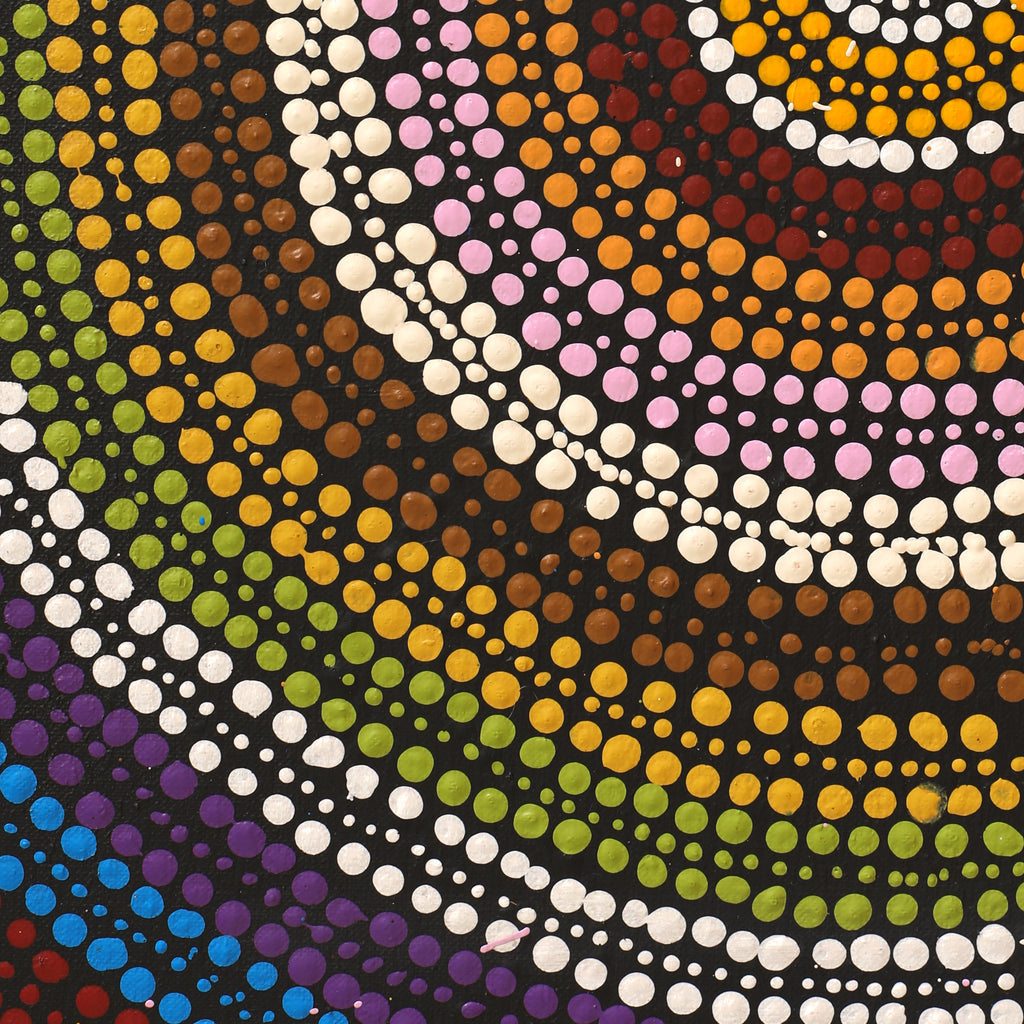 Aboriginal Artwork by Nicole Napaljarri Stevens, Ngapa Jukurrpa (Water Dreaming) - Mikanji, 76x61cm - ART ARK®