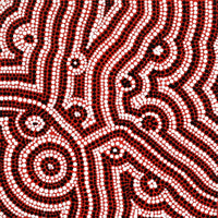 Aboriginal Artwork by Nikita Nungarrayi Morris, Yarungkanyi Jukurrpa, 30x30cm
