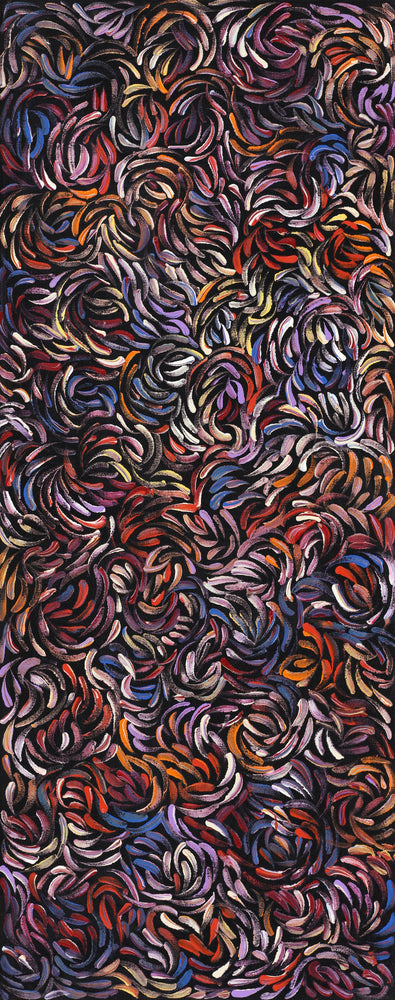 Aboriginal Artwork by Nola Napangardi Fisher, Purrpalanji (Skinny Bush Banana) Jukurrpa, 76x30cm