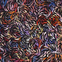 Aboriginal Artwork by Nola Napangardi Fisher, Purrpalanji (Skinny Bush Banana) Jukurrpa, 76x30cm