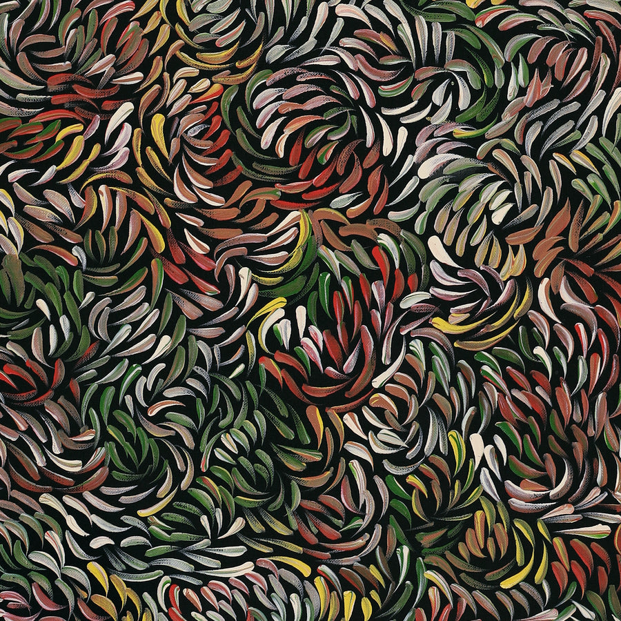 Aboriginal Artwork by Nola Napangardi Fisher, Purrpalanji (Skinny Bush Banana) Jukurrpa, 91x30cm