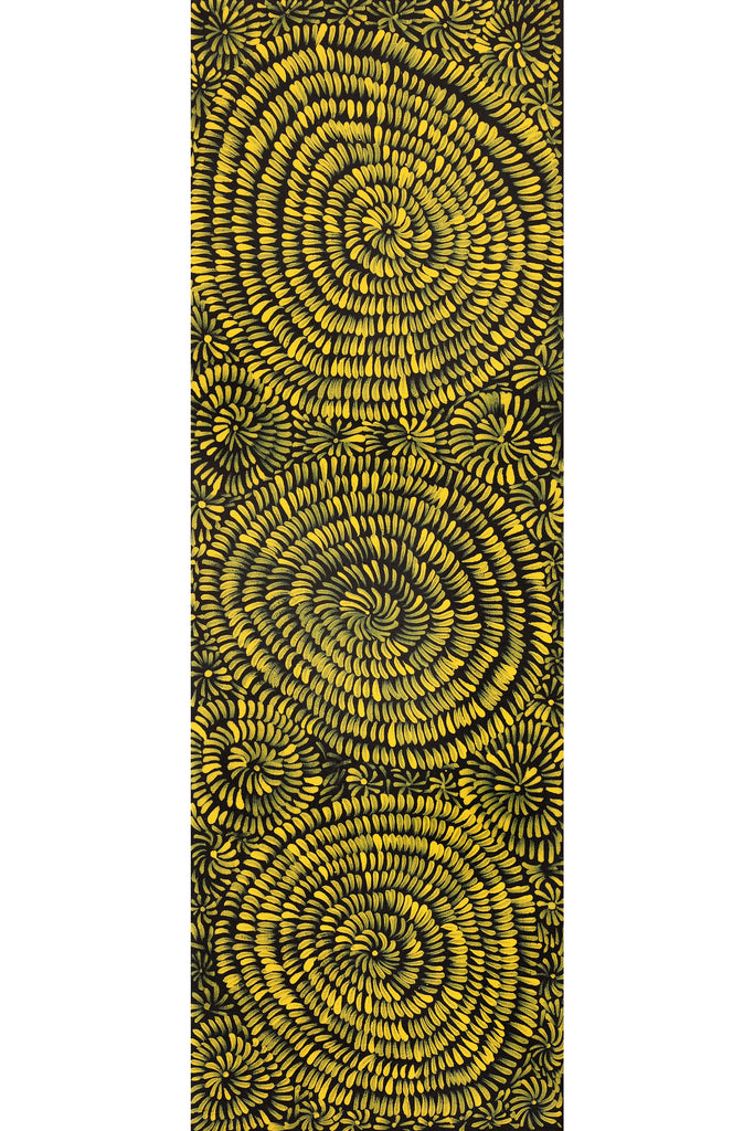 Aboriginal Artwork by Nola Napangardi Fisher, Purrpalanji (Skinny Bush Banana) Jukurrpa, 91x30cm
