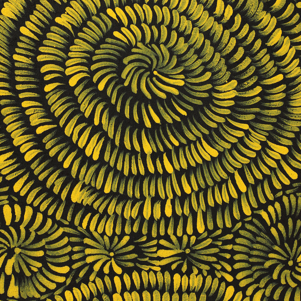 Aboriginal Artwork by Nola Napangardi Fisher, Purrpalanji (Skinny Bush Banana) Jukurrpa, 91x30cm