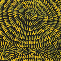 Aboriginal Artwork by Nola Napangardi Fisher, Purrpalanji (Skinny Bush Banana) Jukurrpa, 91x30cm