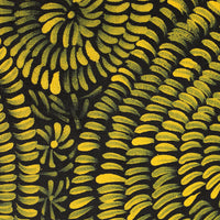 Aboriginal Artwork by Nola Napangardi Fisher, Purrpalanji (Skinny Bush Banana) Jukurrpa, 91x30cm