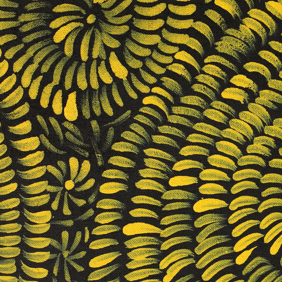 Aboriginal Artwork by Nola Napangardi Fisher, Purrpalanji (Skinny Bush Banana) Jukurrpa, 91x30cm