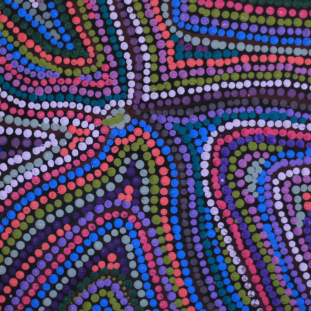 Aboriginal Artwork by Nola Napangardi Fisher, Warrilyi Ngurlu Jukurrpa – Pikilyi, 30x30cm - ART ARK®