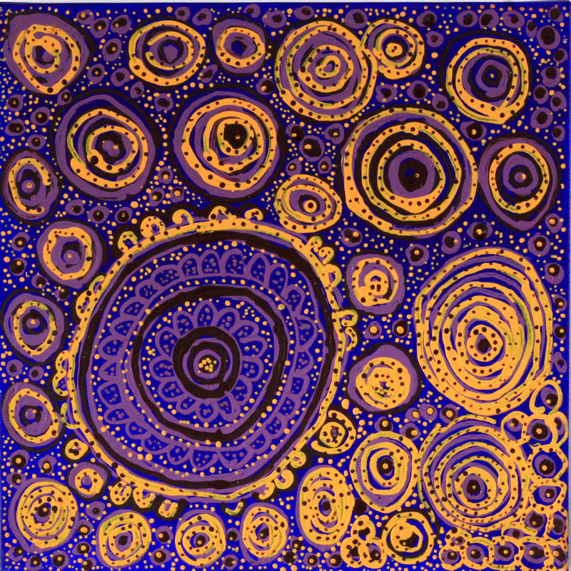 Aboriginal Artwork by Nola Napangardi Fisher, Warrilyi Ngurlu Jukurrpa – Pikilyi, 30x30cm