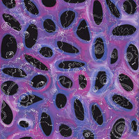 Aboriginal Artwork by Norissa Nampijinpa Watson, Ngapa Jukurrpa (Water Dreaming) - Puyurru, 183x61cm