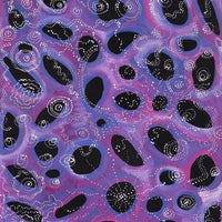 Aboriginal Artwork by Norissa Nampijinpa Watson, Ngapa Jukurrpa (Water Dreaming) - Puyurru, 183x61cm