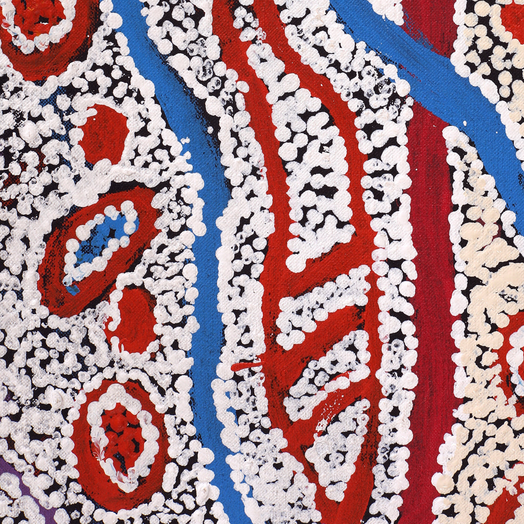 Aboriginal Artwork by Ormay Nangala Gallagher, Yankirri Jukurrpa (Emu Dreaming) - Ngarlikurlangu, 107x46cm