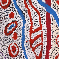 Aboriginal Art by Ormay Nangala Gallagher, Yankirri Jukurrpa (Emu Dreaming) - Ngarlikurlangu, 107x46cm - ART ARK®