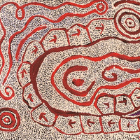 Aboriginal Artwork by Ormay Nangala Gallagher, Yankirri Jukurrpa (Emu Dreaming) - Ngarlikurlangu, 152x61cm
