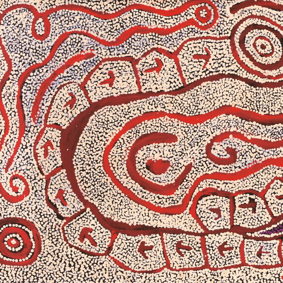 Aboriginal Artwork by Ormay Nangala Gallagher, Yankirri Jukurrpa (Emu Dreaming) - Ngarlikurlangu, 152x61cm